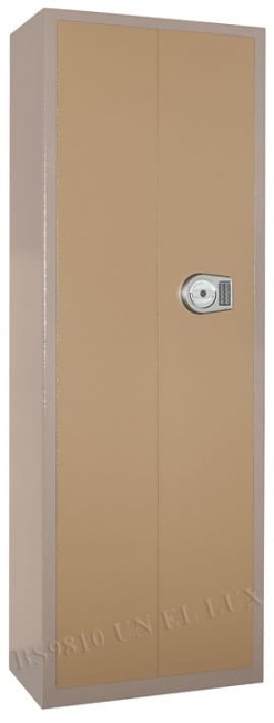 Один из многочисленных вариантов дизайна этого сейфа.